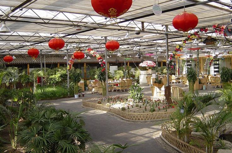 生態(tài)餐廳
